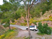 IMG_20170416_202009-01.jpeg