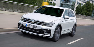 tiguan.JPG