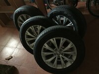 IMG_2955.JPG