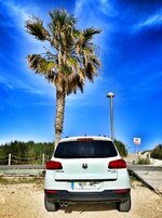 IMG_20170423_181330-01.jpeg