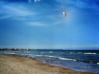 IMG_20170423_183449-01.jpeg