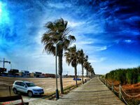 IMG_20170423_180247-01.jpeg