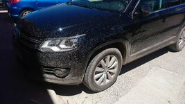 IMG_20170502_211459.jpg