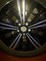 IMG_2829.JPG