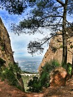 IMG_20170510_113413-01.jpeg