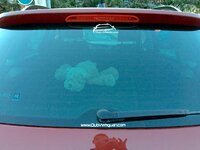 IMG_6284.JPG