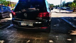 DSC_0101-01.jpeg