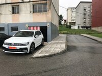 IMG_3513.JPG
