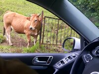 20170603_222347.jpg