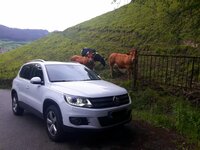 20170603_222441.jpg