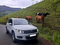 20170603_222548.jpg