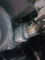 20170605_120841.jpg