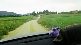 20170624_184222.jpg