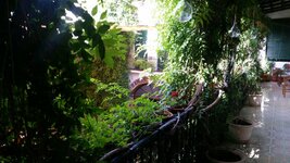 20170625_104514.jpg
