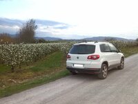 Perales. 01.04.14 - Tiguan Tras SIN.jpg