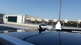 20170730_113857.jpg