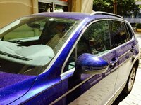 IMG_5018.JPG