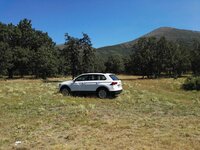 IMG_20170806_121336.jpg