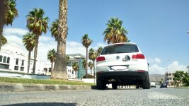 161 - copia - copia.JPG