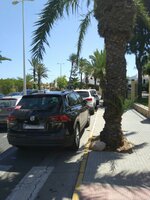 IMG_20170813_131235-01.jpeg