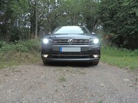 IMG_4174.JPG