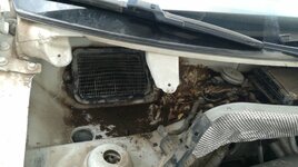 IMG-20170817-WA0012.jpeg