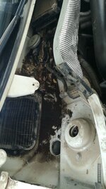 IMG-20170817-WA0001.jpeg