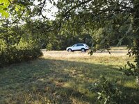 IMG_20170901_193518.jpg