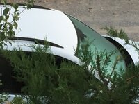 IMG_0250.JPG