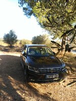 IMG_20171025_095959.jpg