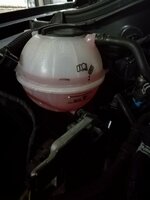IMG_20171101_105552.jpg