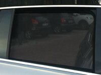 IMG_5485.JPG