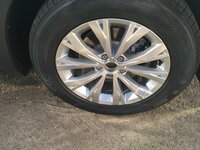 IMG-20171115-WA0014.jpg