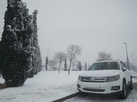 IMG_20170118_123137-01-01.jpeg