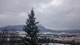 DSC_0688.JPG