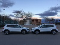 IMG_4537.JPG