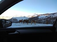 IMG_20180322_182312.jpg