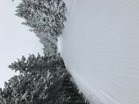 C8C43AAB-9677-4D44-93D0-647418D4D40E.jpeg