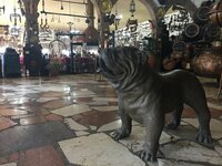 IMG_0866.JPG