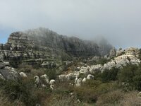 IMG_0949.JPG