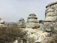 IMG_0959.JPG
