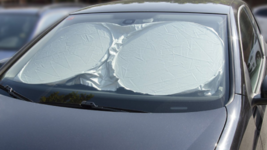 1D974CDD-E6C3-47F1-ADCA-8CBC9158AB4C.png