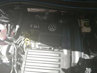 IMG_20180618_161723.jpg