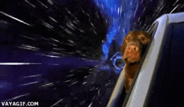 GIF_174452_porque_sacar_la_cabeza_en_un_coche_en_la_tierra_ya_esta_muy_visto.gif