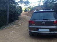 IMG_0088-tuned.jpg
