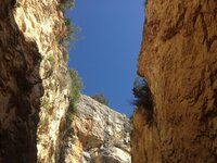 IMG_0060.jpg