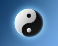 Ying-Yang1-300x240.jpg