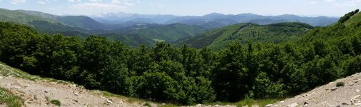 20140608_143059.jpg