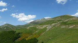 20140608_143207.jpg