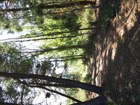 F7A99627-D668-4C6A-9AA7-9493AF5CF23A.jpeg